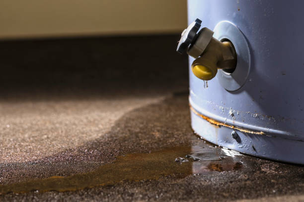 Best Flood damage cleanup  in Spring Grove, IL