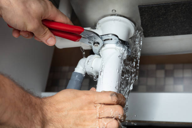 Best Commercial water damage restoration  in Spring Grove, IL