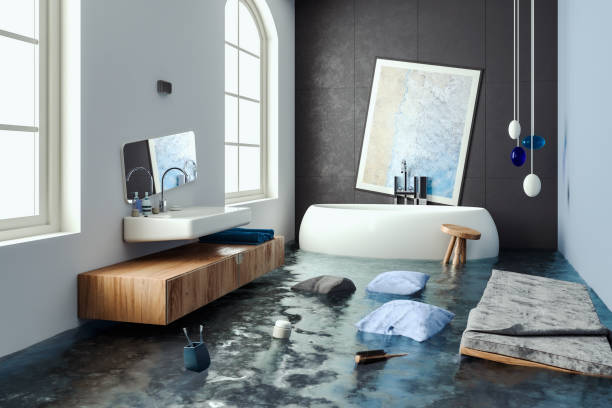 Best Flood restoration services  in Spring Grove, IL