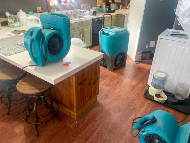 Best Flooded house restoration  in Spring Grove, IL