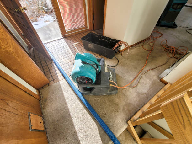 Best 24-hour water damage restoration  in Spring Grove, IL