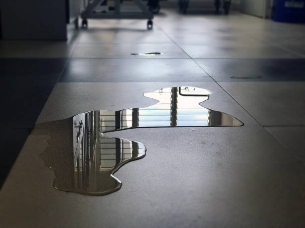 Best Water damage restoration near me  in Spring Grove, IL