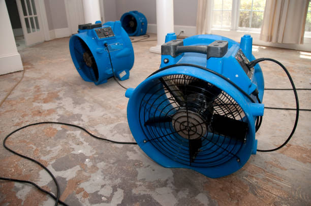 Best Emergency water damage restoration  in Spring Grove, IL