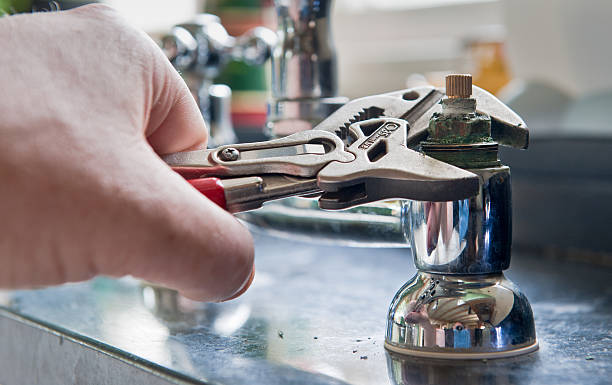 Best Fire Damage Restoration  in Spring Grove, IL