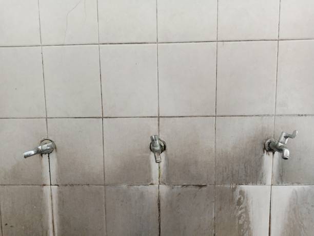 Best Local water damage restoration  in Spring Grove, IL