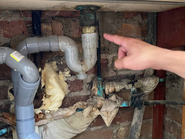 Best 24/7 water damage repair  in Spring Grove, IL