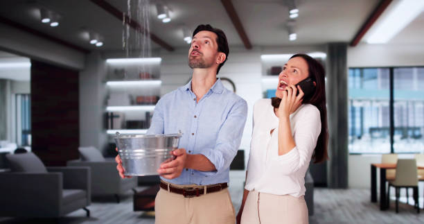 Best Basement water damage restoration  in Spring Grove, IL