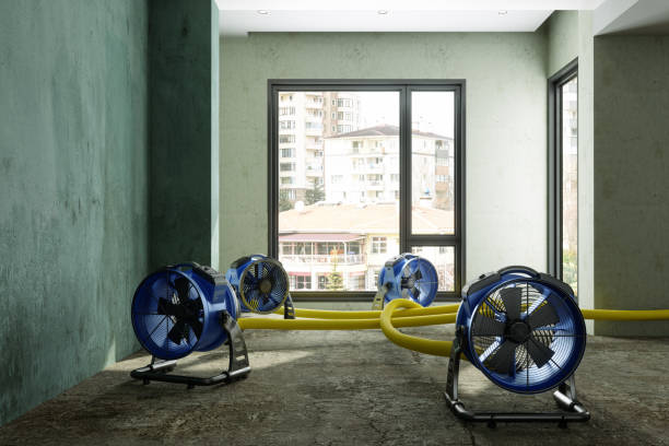 Best 24-hour water damage restoration  in Spring Grove, IL